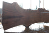Oregon Black Walnut Slab 090524-2