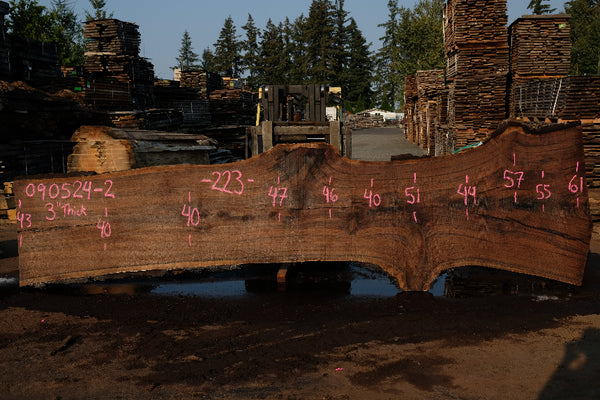 Oregon Black Walnut Slab 090524-2