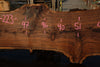 Oregon Black Walnut Slab 090524-2