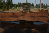 Oregon Black Walnut Slab 090524-3