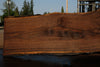 Oregon Black Walnut Slab 090524-3