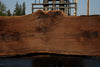 Oregon Black Walnut Slab 090524-3