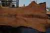 Oregon Black Walnut Slab 090524-3