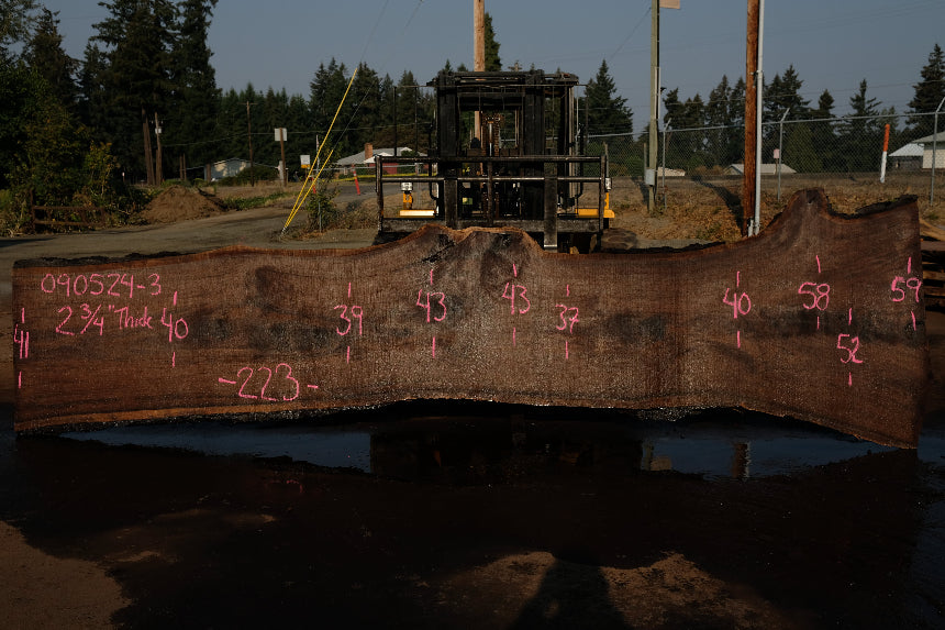 Oregon Black Walnut Slab 090524-3