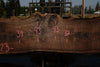 Oregon Black Walnut Slab 090524-3