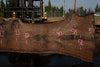 Oregon Black Walnut Slab 090524-3