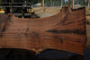 Oregon Black Walnut Slab 090524-4