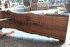Oregon Black Walnut Slab 090524-4