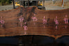 Oregon Black Walnut Slab 090524-4