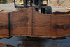 Oregon Black Walnut Slab 090524-5