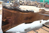 Oregon Black Walnut Slab 090524-5