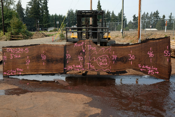 Oregon Black Walnut Slab 090524-5