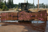 Oregon Black Walnut Slab 090524-5