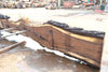 Oregon Black Walnut Slab 090524-6