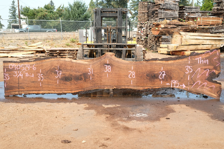 Oregon Black Walnut Slab 090524-6