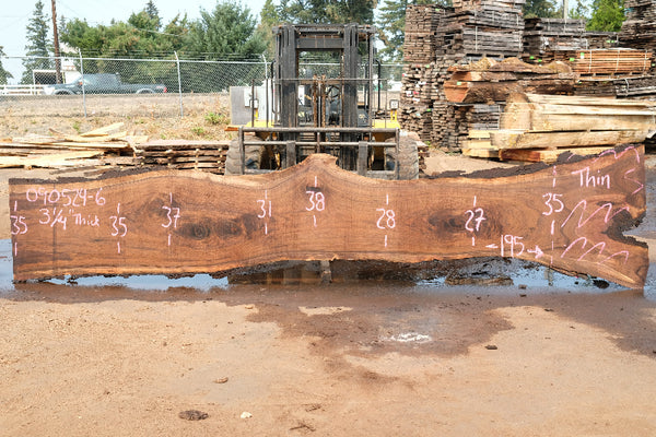 Oregon Black Walnut Slab 090524-6