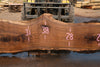 Oregon Black Walnut Slab 090524-6