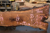 Oregon Black Walnut Slab 090524-6