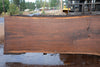 Oregon Black Walnut Slab 090524-7