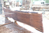 Oregon Black Walnut Slab 090524-7