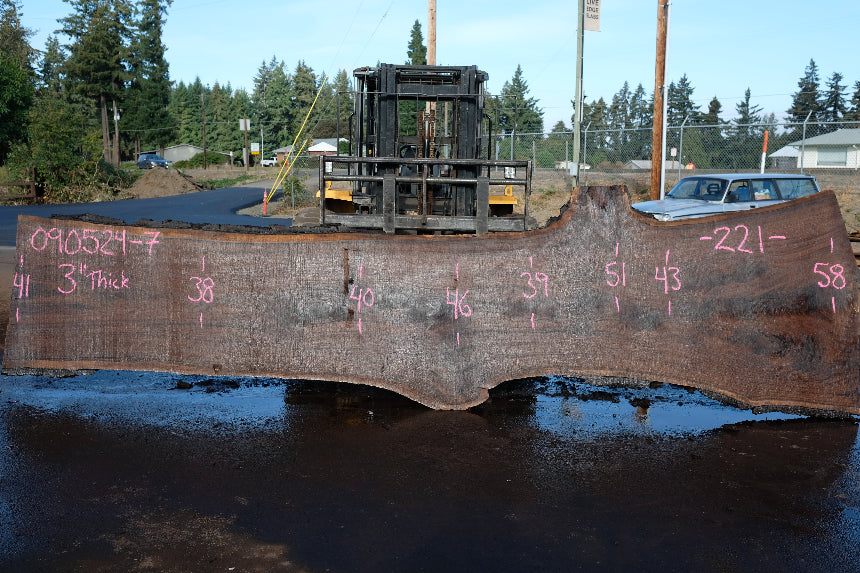 Oregon Black Walnut Slab 090524-7