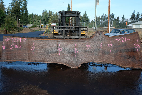 Oregon Black Walnut Slab 090524-7