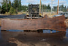 Oregon Black Walnut Slab 090524-8
