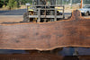 Oregon Black Walnut Slab 090524-8