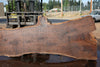 Oregon Black Walnut Slab 090524-8