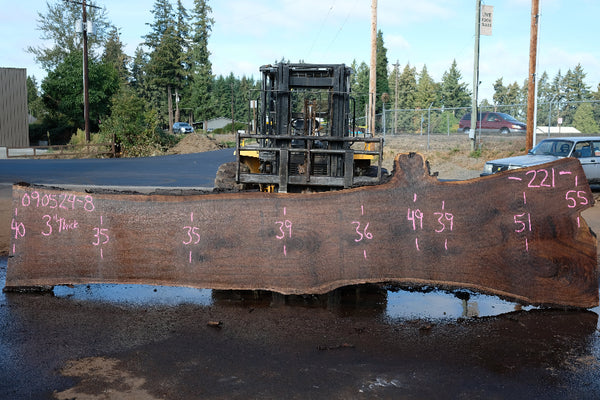 Oregon Black Walnut Slab 090524-8