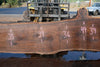 Oregon Black Walnut Slab 090524-8