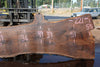 Oregon Black Walnut Slab 090524-8