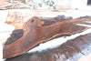 Oregon Black Walnut Slab 090524-9