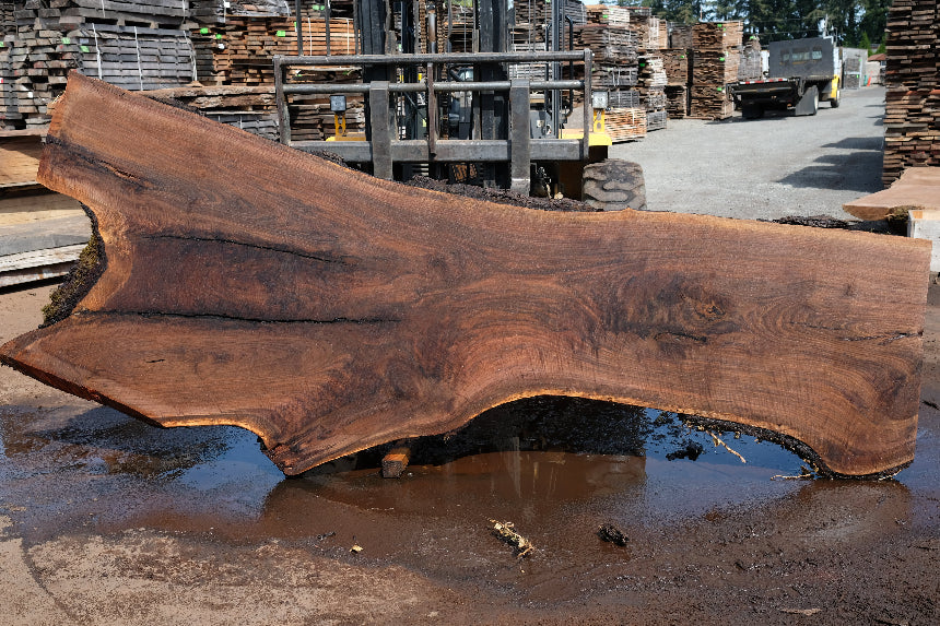 Oregon Black Walnut Slab 090924-1