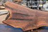 Oregon Black Walnut Slab 090924-1