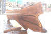 Oregon Black Walnut Slab 090924-1