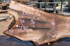 Oregon Black Walnut Slab 090924-1