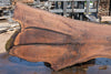 Oregon Black Walnut Slab 090924-2