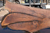 Oregon Black Walnut Slab 090924-3