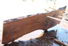 Oregon Black Walnut Slab 090924-3