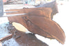 Oregon Black Walnut Slab 090924-3
