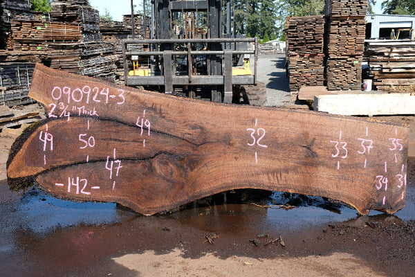 Oregon Black Walnut Slab 090924-3