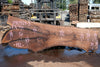 Oregon Black Walnut Slab 090924-3