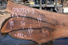 Oregon Black Walnut Slab 090924-3