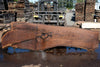 Oregon Black Walnut Slab 090924-4