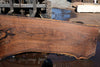 Oregon Black Walnut Slab 090924-4