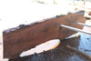 Oregon Black Walnut Slab 090924-4