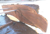 Oregon Black Walnut Slab 090924-4