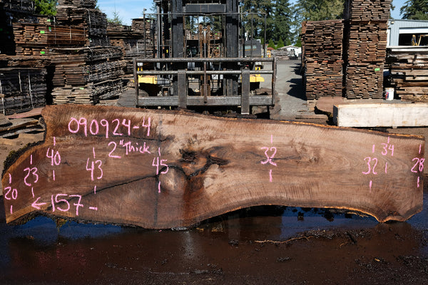 Oregon Black Walnut Slab 090924-4