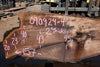 Oregon Black Walnut Slab 090924-4